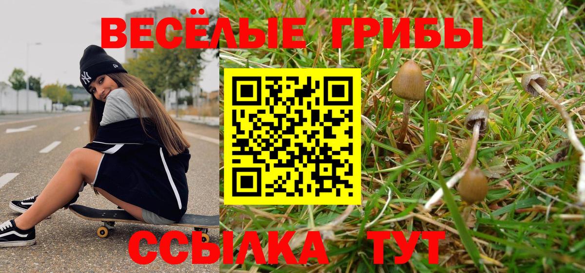 Псилоцибиновые грибы Magic Shrooms Мытищи